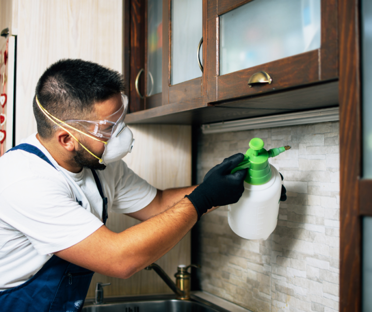 شركة مكافحة حشرات